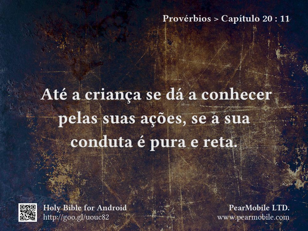 Provérbios, Capítulo 20:11